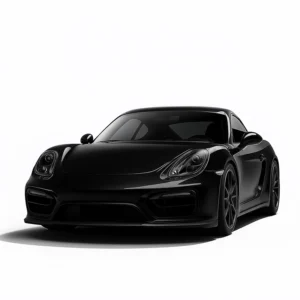 PORSCHE CAYMAN TYPE 981C