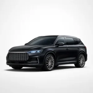 BYD (Build Your Dream) TANG