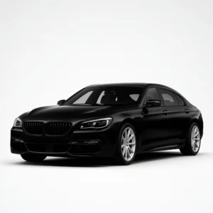 BMW 6ER F12/F13 Kit pour étalonnage de compteur de vitesse
