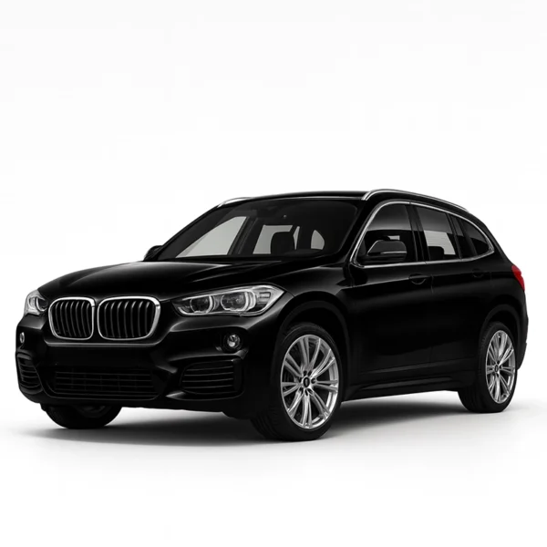 Mileage Blocker for BMW X1 F48 BMW X1 F48 Speedometer Calibration Device